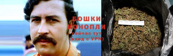 ПСИЛОЦИБИНОВЫЕ ГРИБЫ Алексин