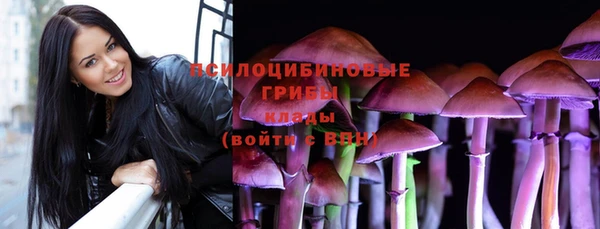 ПСИЛОЦИБИНОВЫЕ ГРИБЫ Алексин