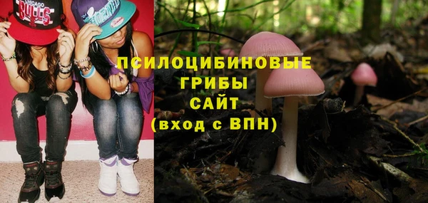 ПСИЛОЦИБИНОВЫЕ ГРИБЫ Алексин