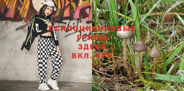 бутират Алексеевка