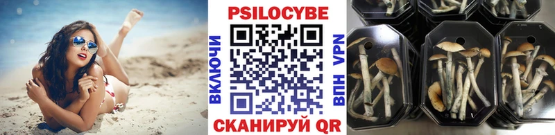 Псилоцибиновые грибы MAGIC MUSHROOMS  где продают наркотики  Черепаново 